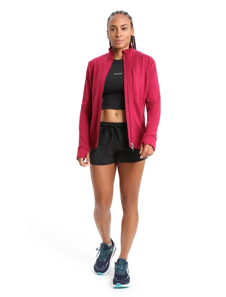 Sweat À Capuche Icebreaker Merino Quantum III Long Sleeve Zip Femme Rose | FR 1680MQZA